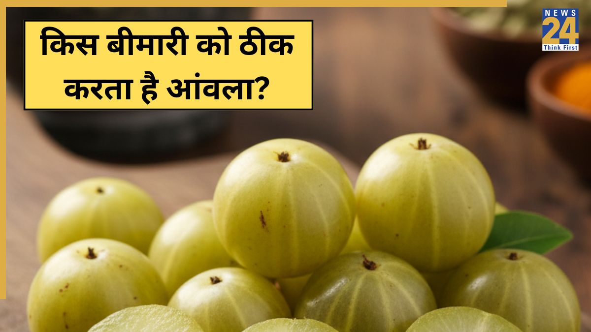 Amla Benefits-1