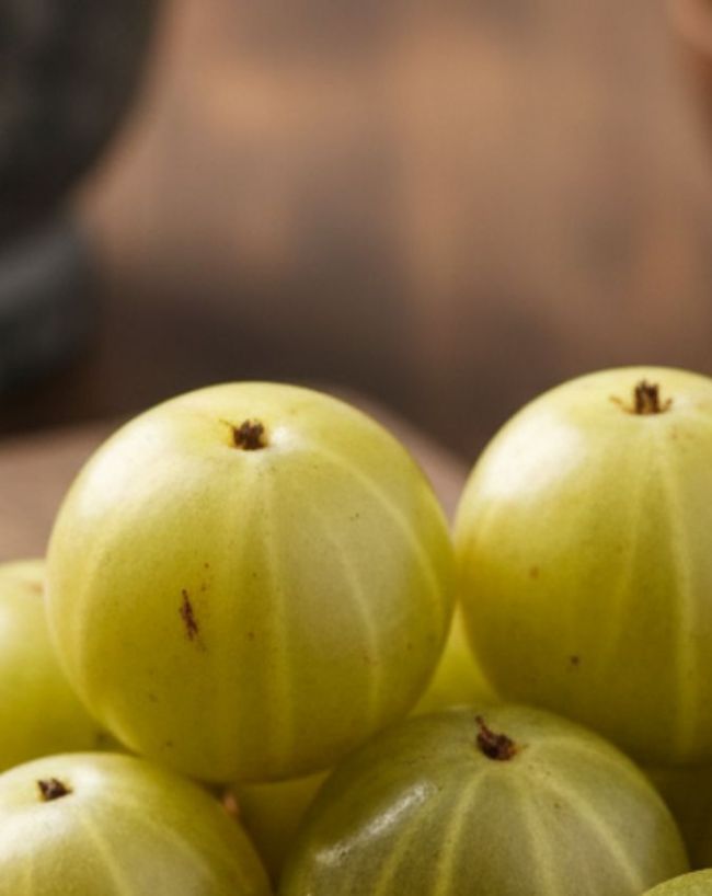 Amla Benefits-1-2-3