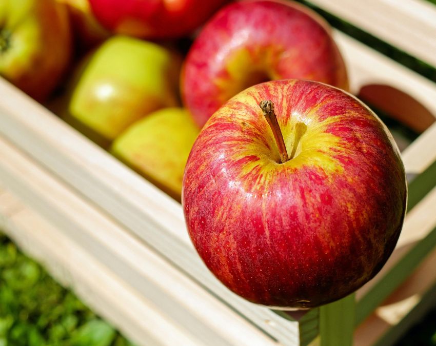 Fruits For Bad Cholesterol -1-2-3-4-5-6