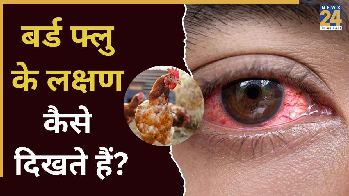 Bird Flu