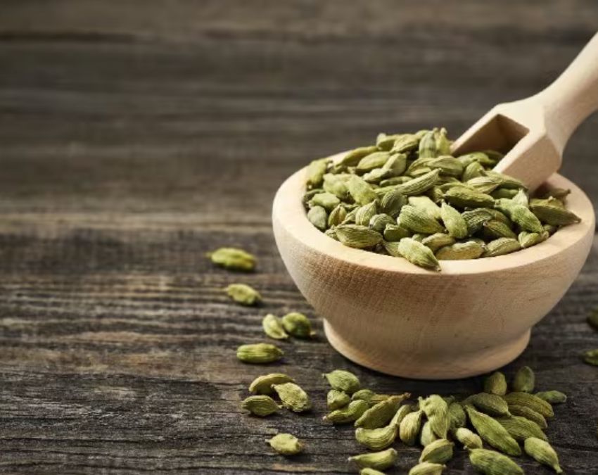 Elaichi Eating Benefits Elaichi Eating Benefits-1-2-3-4