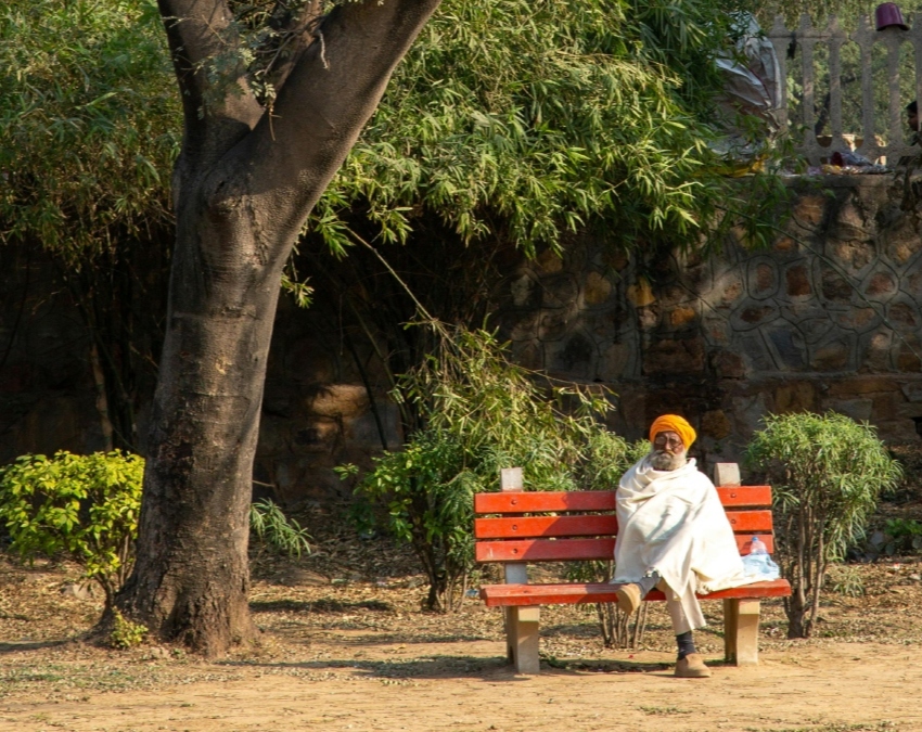 Rose Day Parks-1-2-3-4