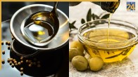 Black Mustard Oil Vs Yellow Mustard Oil