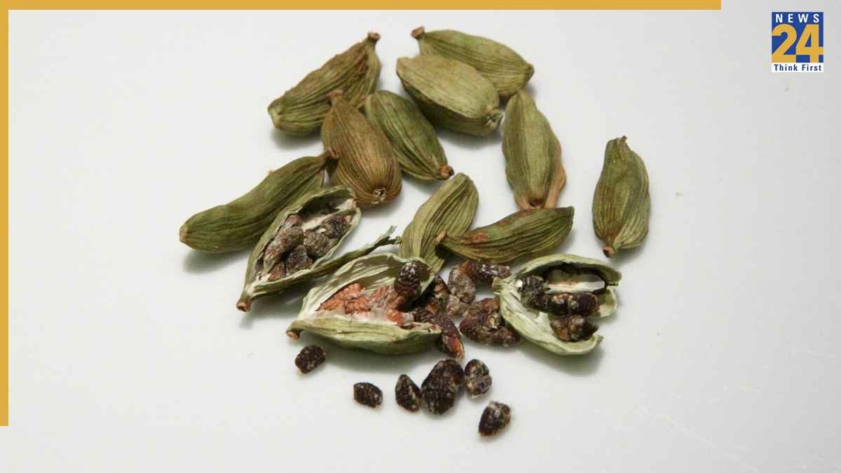 Cardamom Benefits