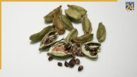 Cardamom Benefits