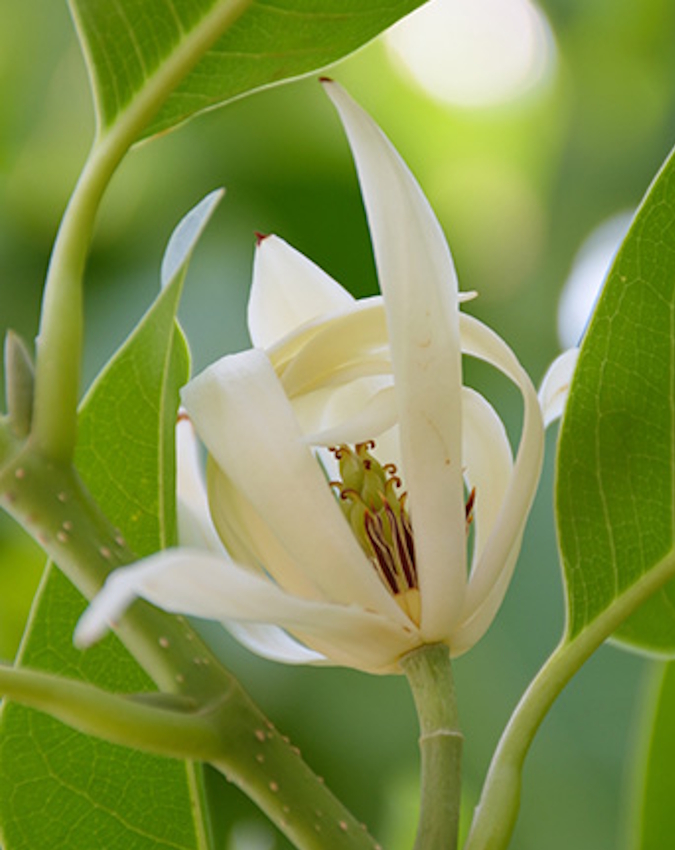 -1-2-3-4-5-6-7-8-9-10