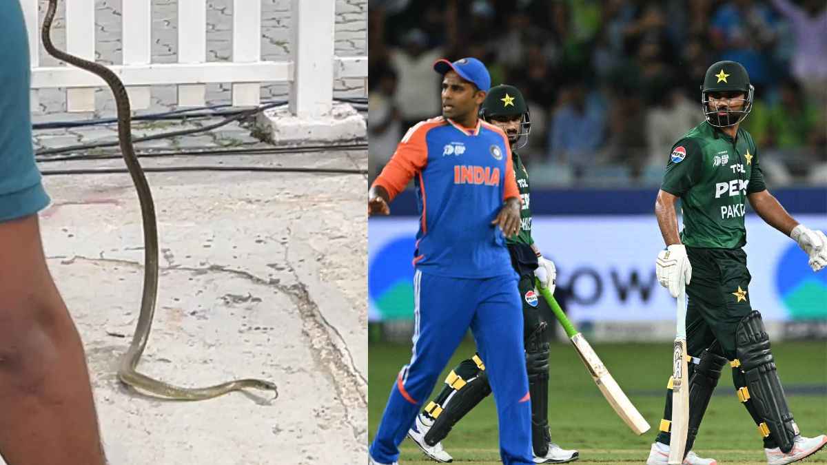 Cricket News - 2026-02-13T235656.892