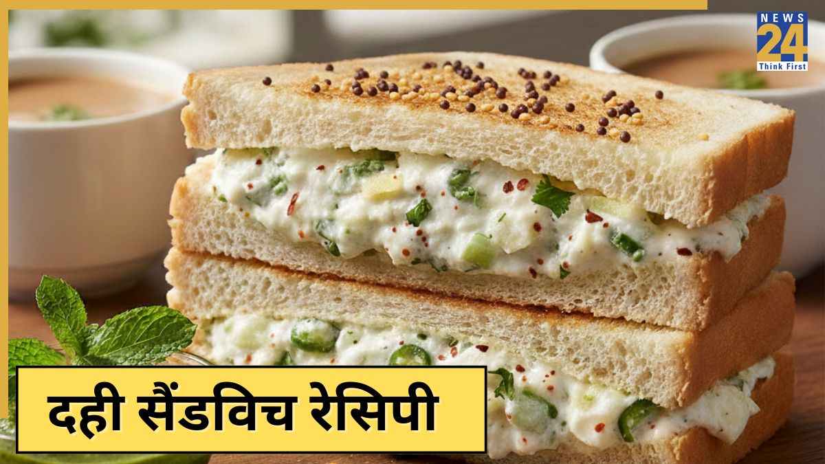 Dahi Sandwich Recipe: खाना है कुछ टेस्टी तो नाश्ते में बना लीजिए यह दही वाला सैंडविच, सभी बार-बार खाने की करने लगेंगे जिद