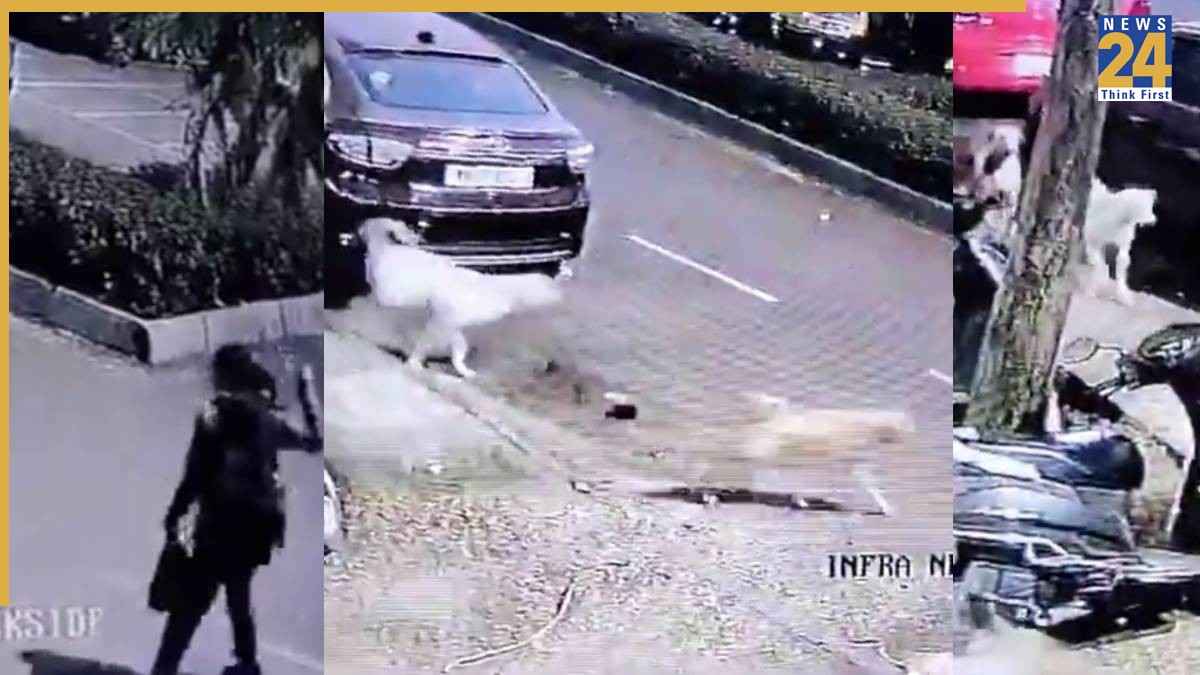 Dombivli dog attack incident (1)