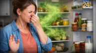 Fridge Smell Problem