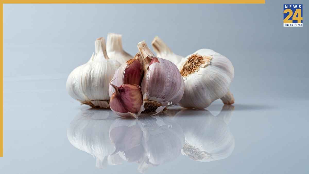 Garlic Benefits Daily