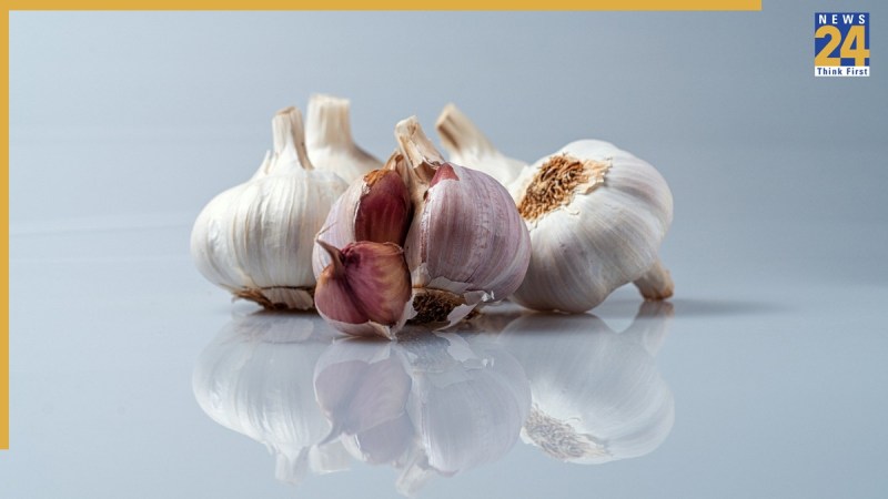 Garlic Benefits Daily