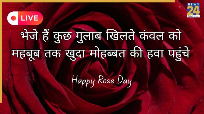 Happy Rose Day Wishes In Hindi