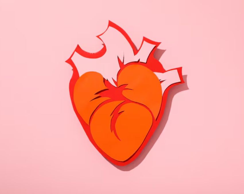 heart Attack Ke Lakshan-1-2-3-4-5-6-7-8