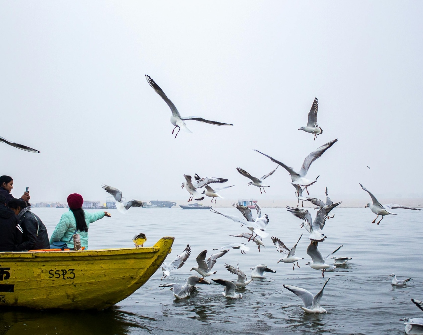 Prayagraj One Day Capital Of India History-1-2-3-4-5