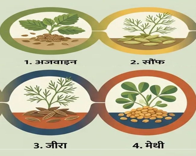 Jeera Ajwain Methi Saunf for Weight Loss-1-2