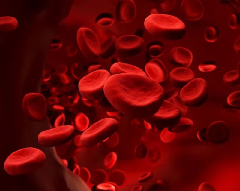 Roza Rakhne Se Dil Ko Milne Wala Asar Roza Rakhne Se Dil Ko Milne Wala Asar-1-2