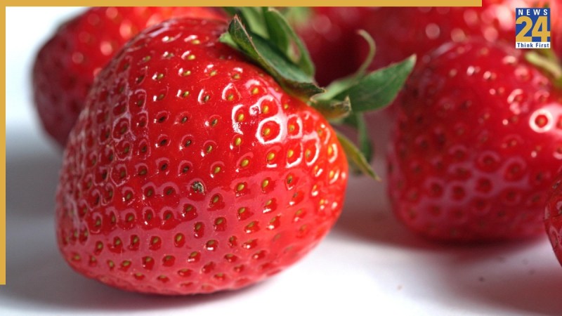 Mahabaleshwar Strawberry