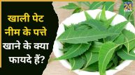Neem Leaves Benefits