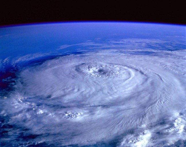 Doomsday Fish-1-2-3-4-5