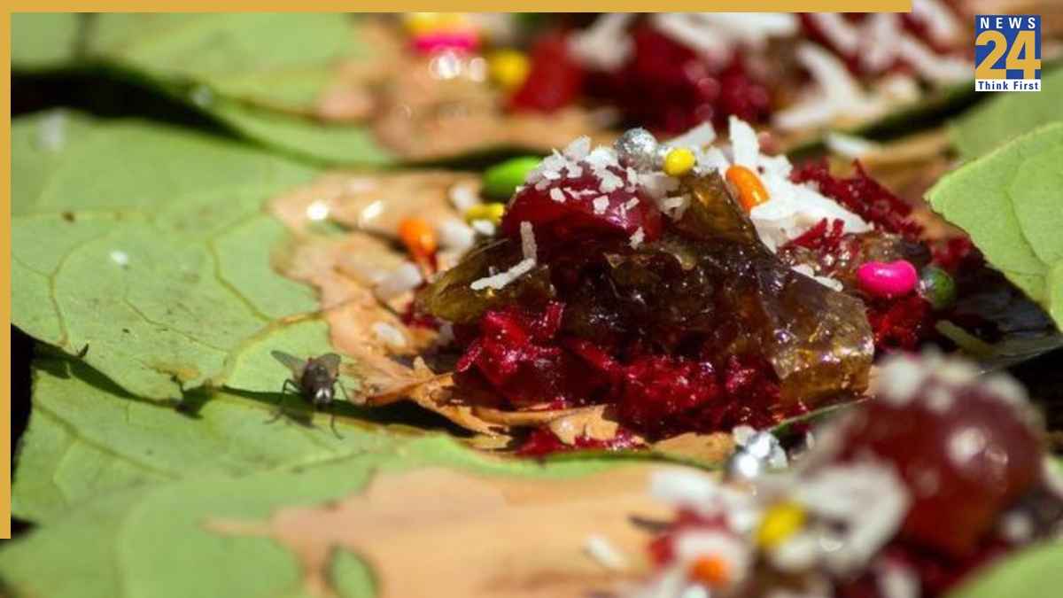 क्या पान खाने से बढ़ जाता है शुगर लेवल? जानिए एक्सपर्ट्स क्या कहते हैं
