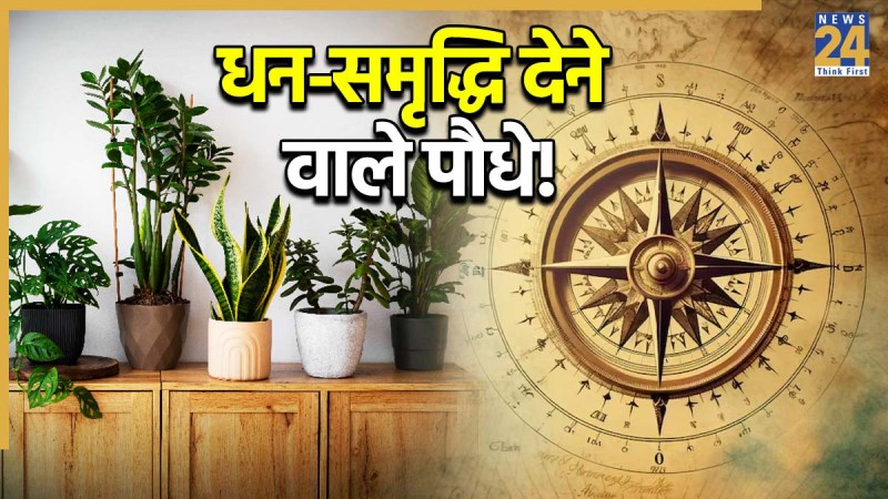 Plant Vastu Tips Plant-Vastu-Tips-1