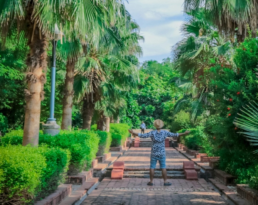 Rose Day Parks-1-2-3-4-5-6