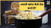 Real Vs Fake Khoya