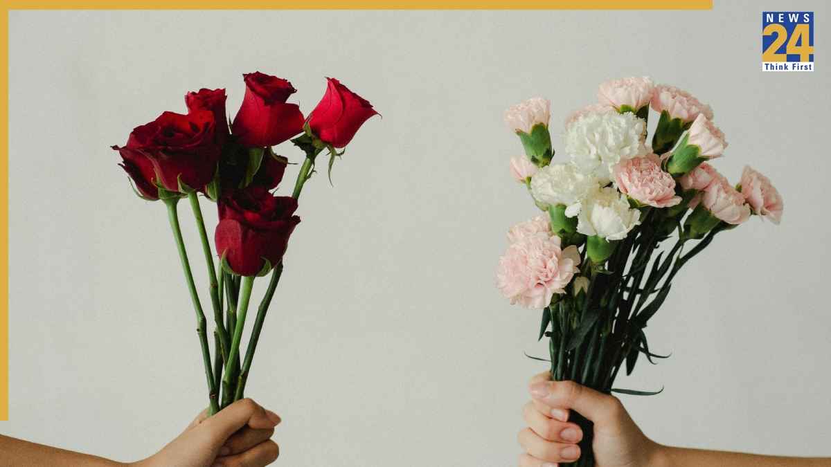 Rose Day 2026: आज है वैलेंटाइन वीक का पहला दिन रोज डे, जानिए क्यों मनाते हैं यह दिन, क्या है इतिहास