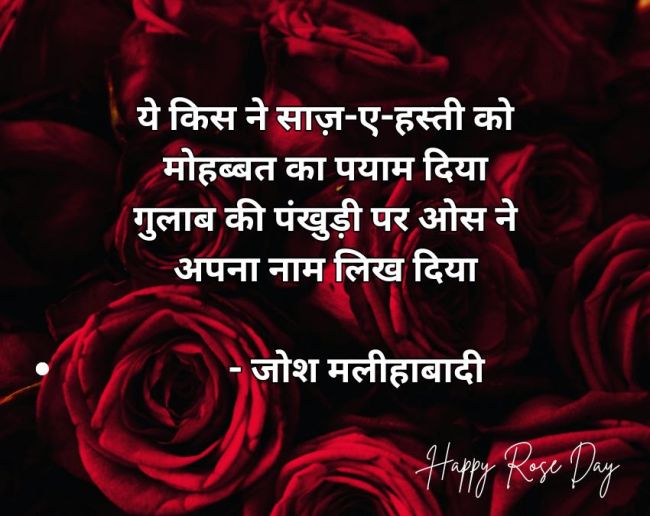 Rose Day 2026 Wishes Rose Day 2026 Wishes-1-2-3-4-5-6-7-8-9-10