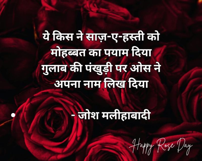 Rose Day 2026 Wishes Rose Day 2026 Wishes-1-2-3-4-5-6-7-8-9-10