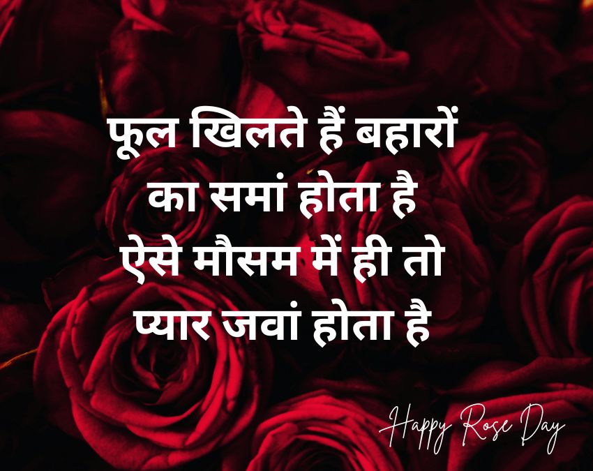 Rose Day 2026 Wishes-1-2-3-4-5-6-7-8-9-10-11