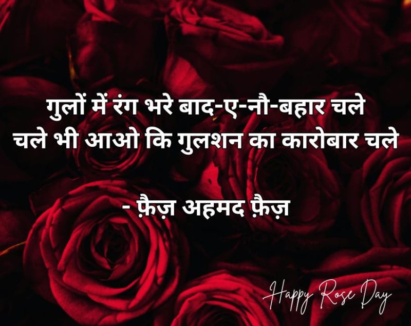 Rose Day 2026 Wishes Rose Day 2026 Wishes-1-2-3-4