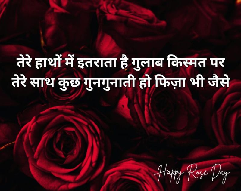 Rose Day 2026 Wishes Rose Day 2026 Wishes-1-2-3-4-5