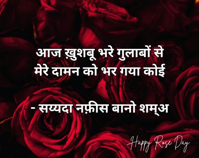 Rose Day 2026 Wishes Rose Day 2026 Wishes-1-2-3-4-5-6