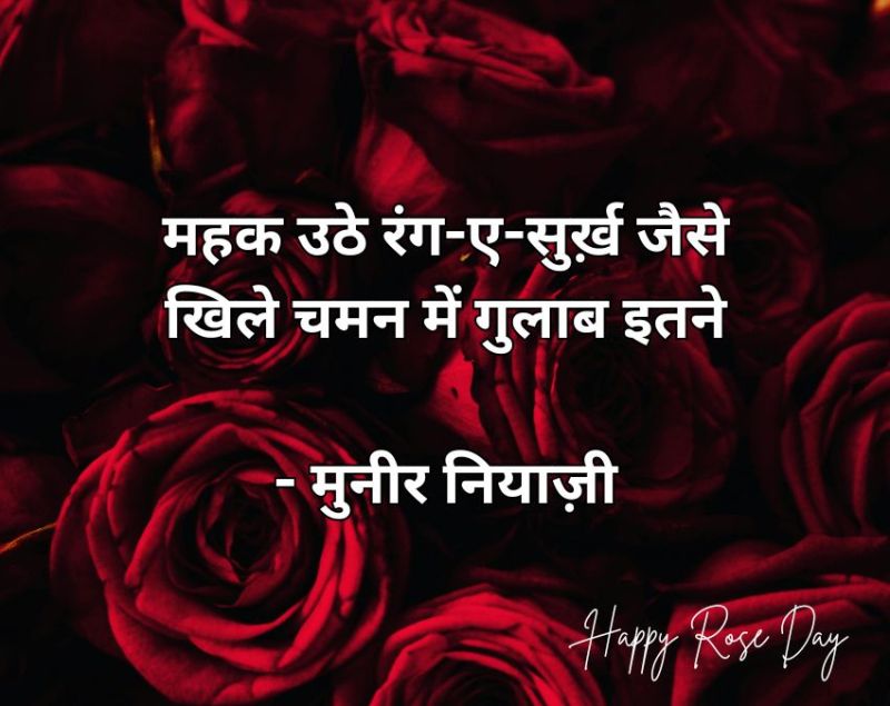 Rose Day 2026 Wishes Rose Day 2026 Wishes-1-2-3-4-5-6-7-8