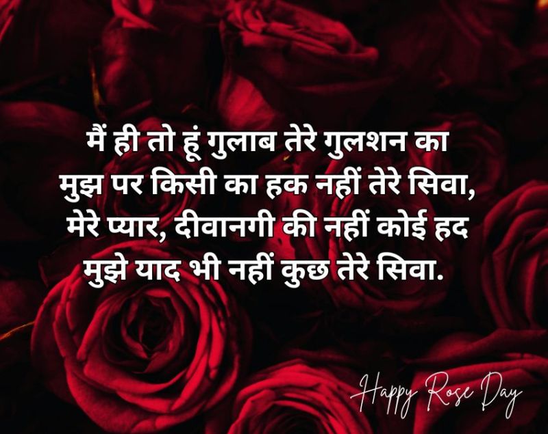 Rose Day 2026 Wishes Rose Day 2026 Wishes-1-2-3-4-5-6-7-8-9