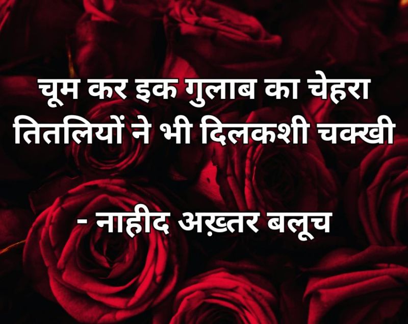 Rose Day 2026 Wishes Rose Day 2026 Wishes-1-2