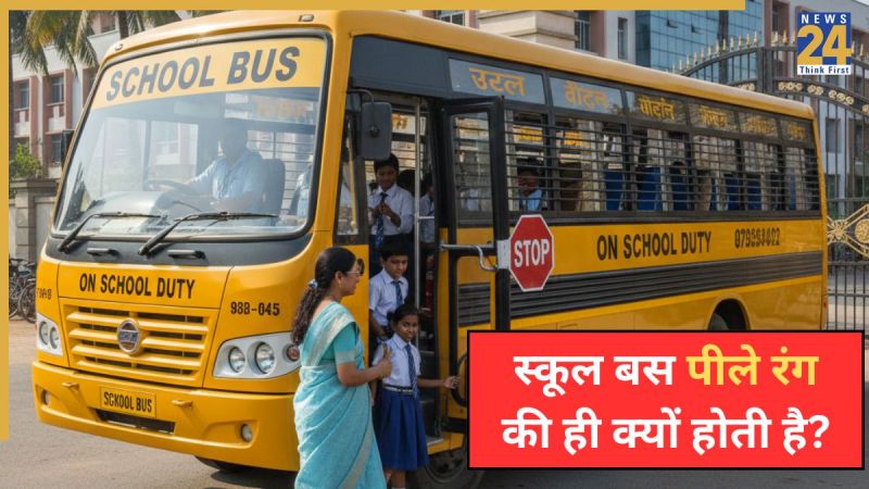 School Bus Peele Rang Ki Kyon Hoti Hai School Bus Peele Rang Ki Kyon Hoti Hai-1