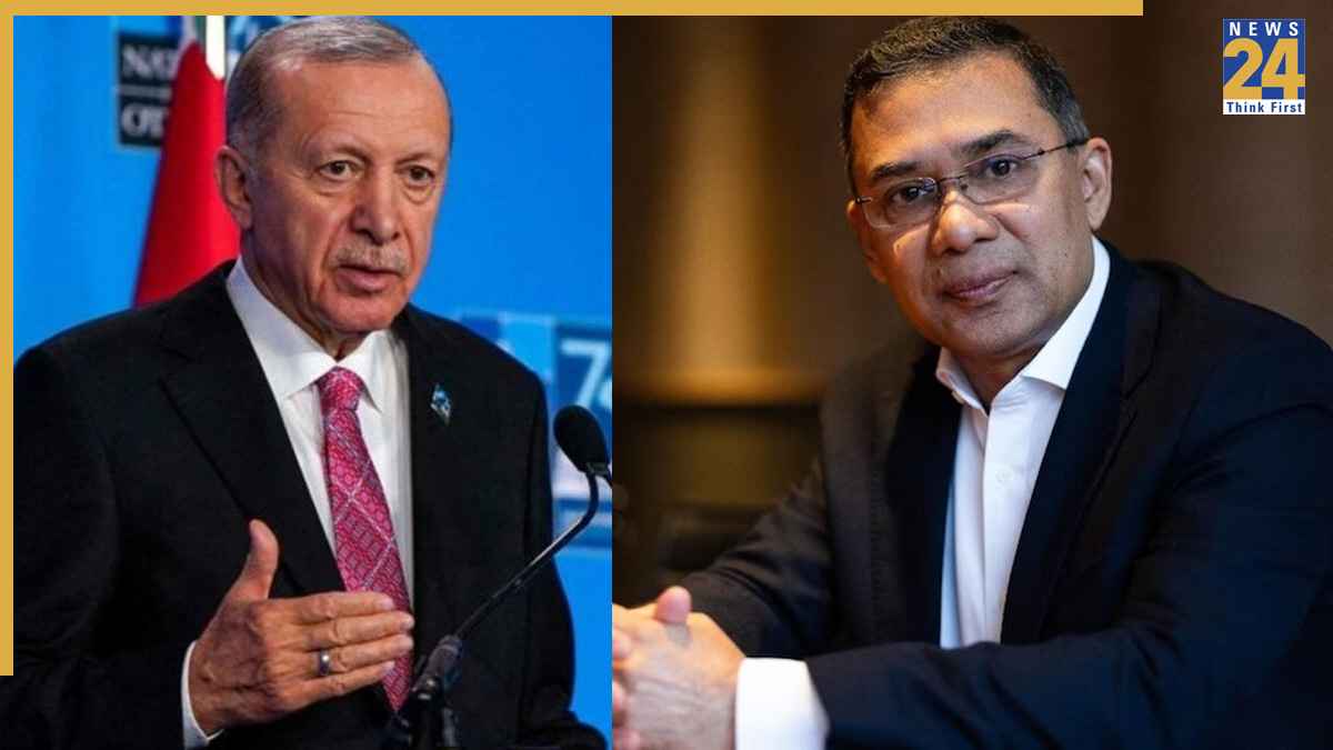 TARIK REHMAAN.jpg