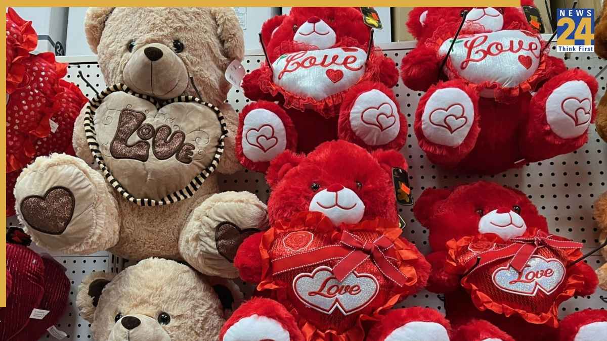 Teddy Colours Meaning