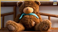 Teddy Day 2026 Celebration Ideas