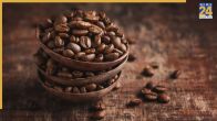 Coffee Ko Kaise Store Kare