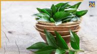Curry Leaves Uses