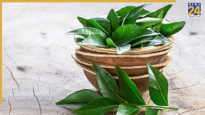 Curry Leaves Uses