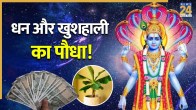 Vishnu