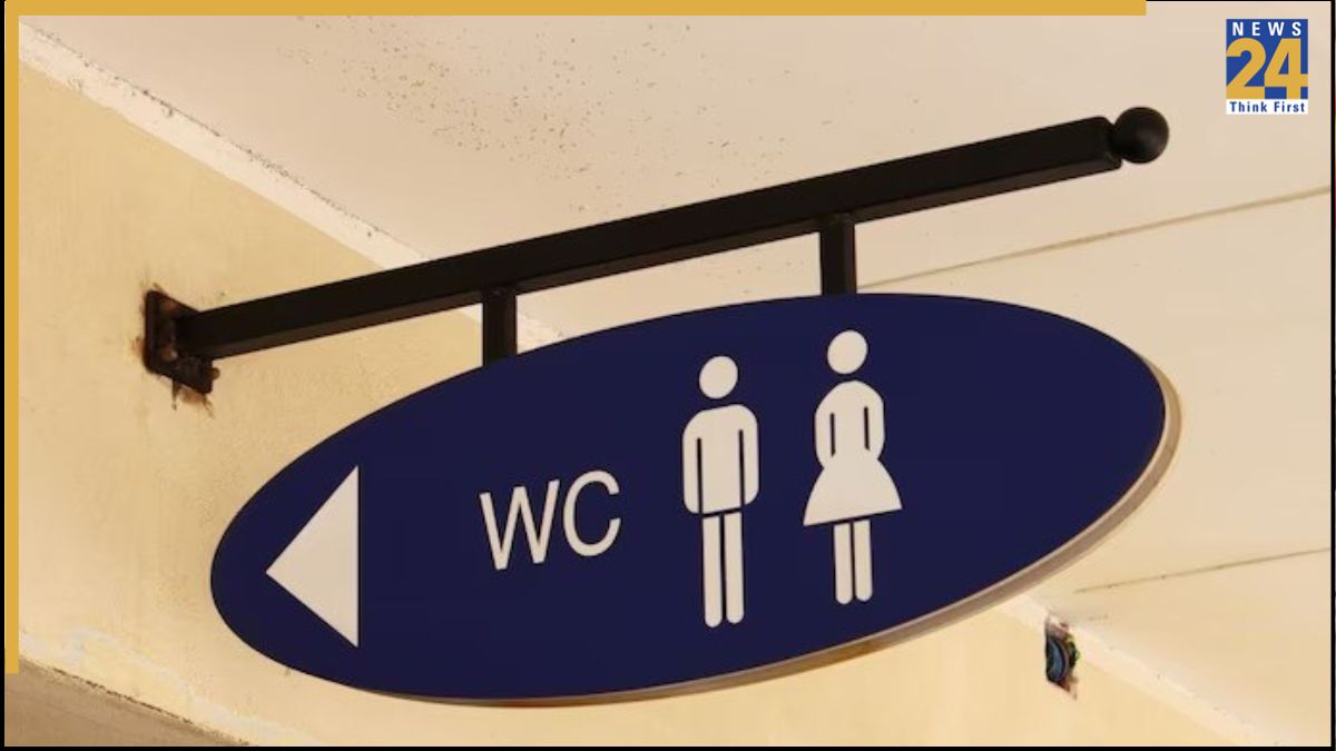 What is the WC toilet What is the WC toilet-1