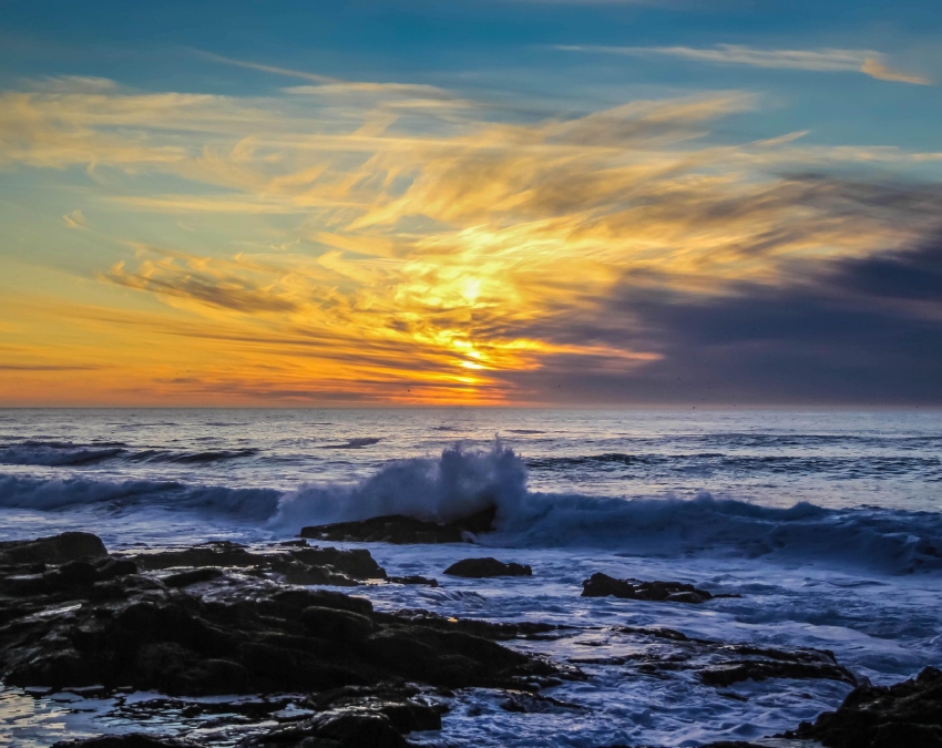 Doomsday Fish-1-2-3-4-5-6-7-8