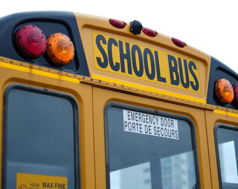 School Bus Peele Rang Ki Kyon Hoti Hai School Bus Peele Rang Ki Kyon Hoti Hai-1-2-3-4-5-6-7