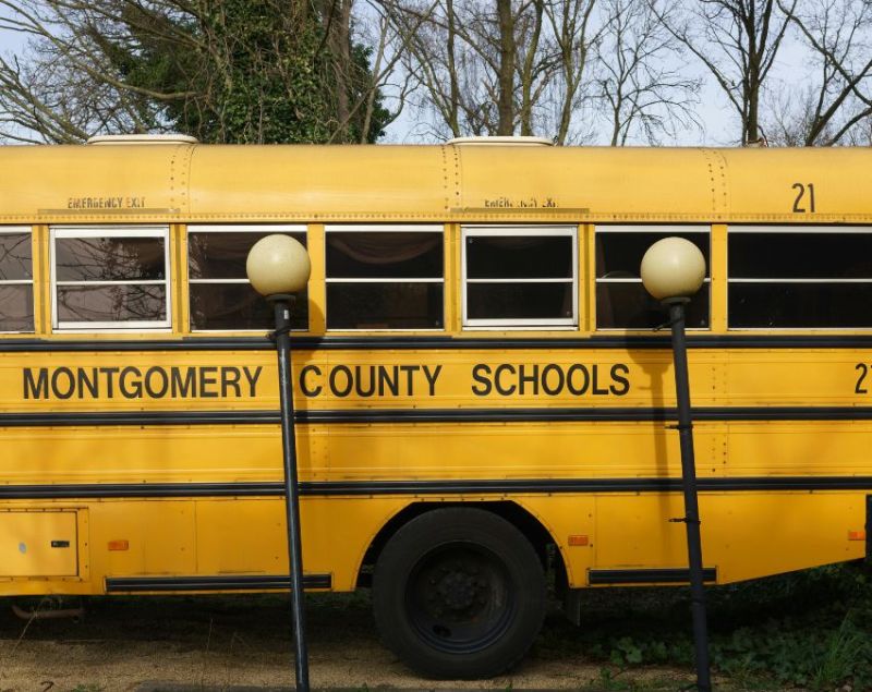 School Bus Peele Rang Ki Kyon Hoti Hai School Bus Peele Rang Ki Kyon Hoti Hai-1-2-3-4-5-6